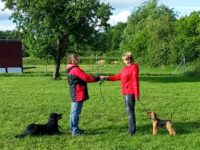 Begegnungstraining - Meet and Greet