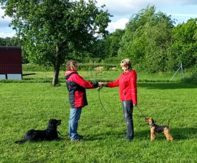 Begegnungstraining - Meet and Greet